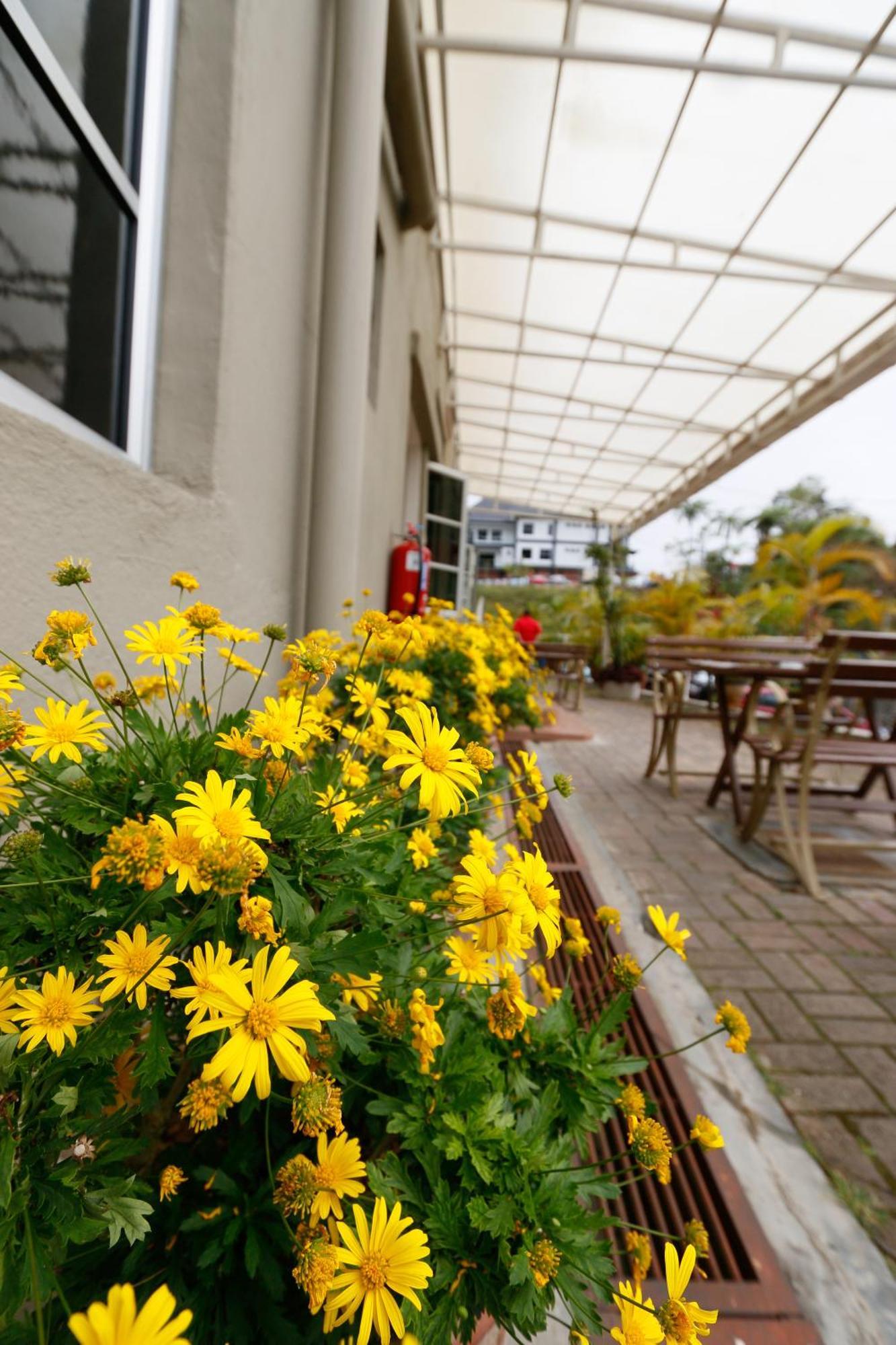 Golden Lodge Tanah Rata Exterior photo